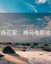 跨年片场花絮：神马电影收藏攻略