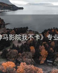 《神马影院我不卡》专业影评