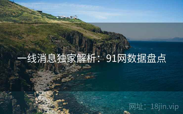 一线消息独家解析:91网数据盘点 一线消息独家解析:91网数据盘点